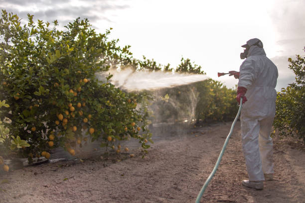 Best Cockroach Control Services  in Mcgaheysville, VA