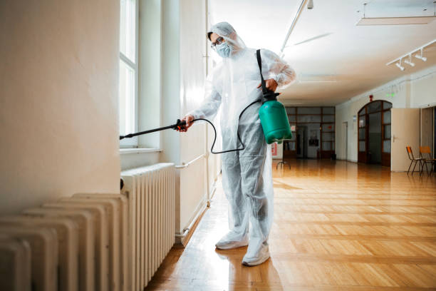Reliable Mcgaheysville, VA Pest Control Solutions